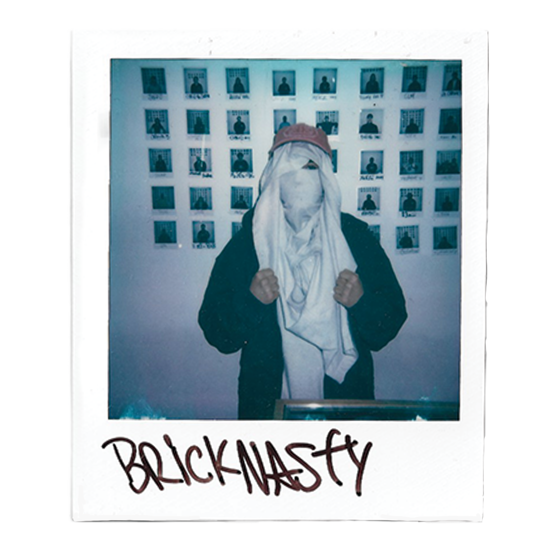 Bricknasty 
